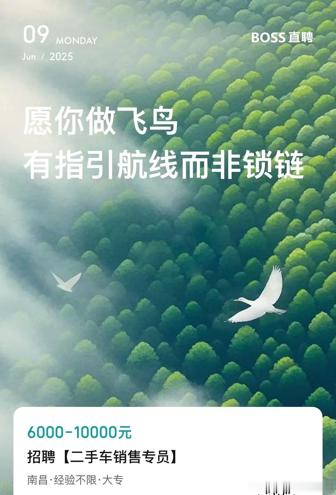 招聘二手车销售，评估师，欢迎有想法的朋友加入我们，待遇从优☎️131777765