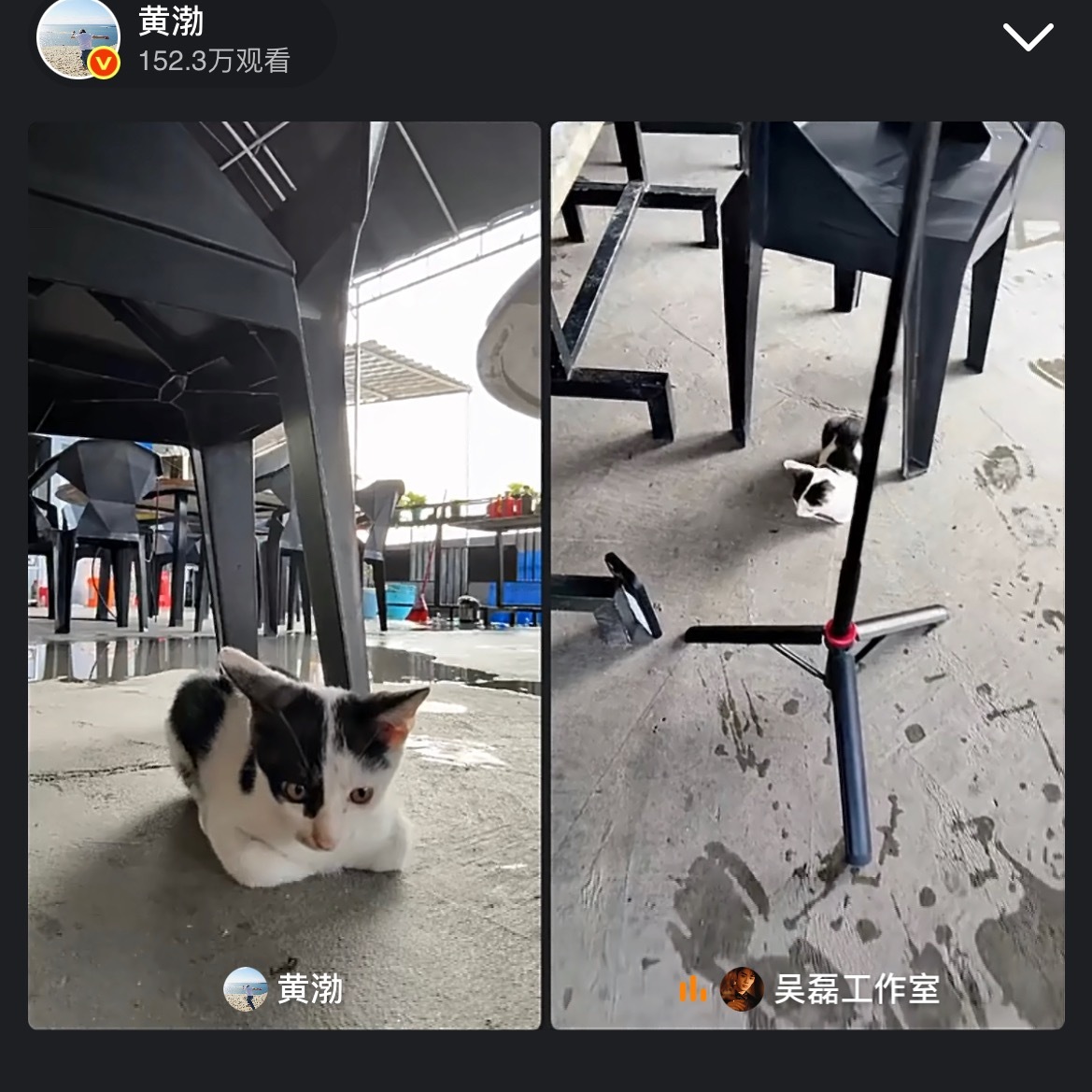 黄渤吴磊影宣太搞笑了黄渤吴磊骑行好抓马 啊哈哈哈哈好抓马啊