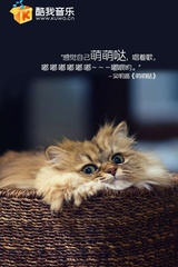 乐琪爱聚科技