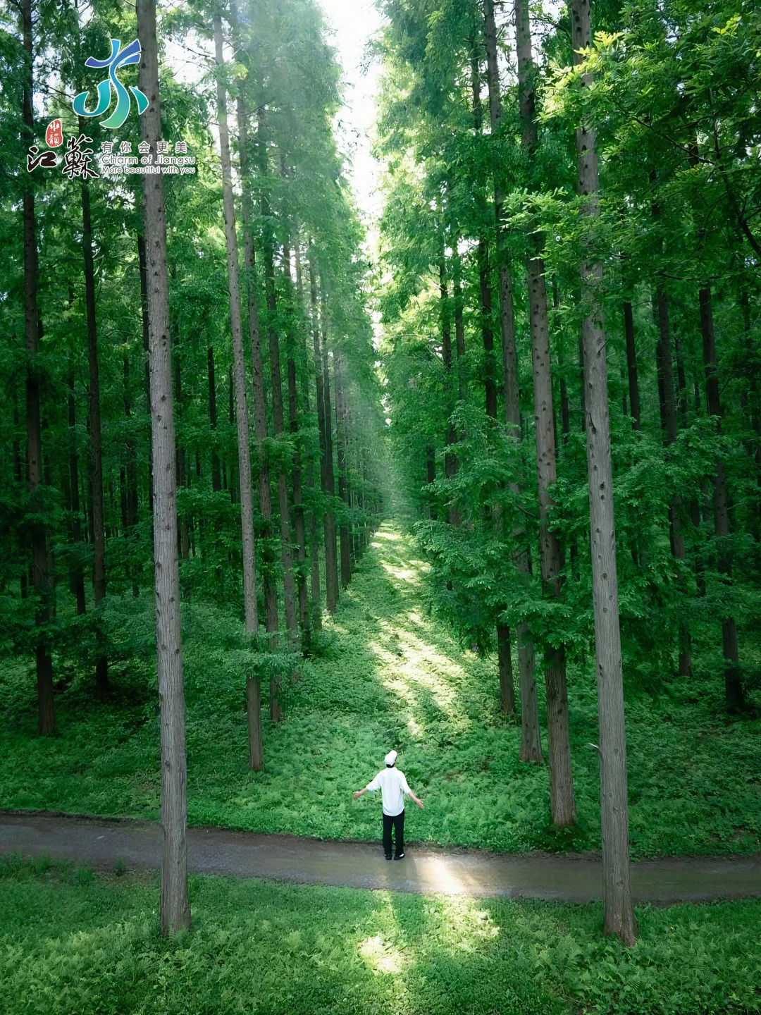 后悔没早点发现❗️江苏竟藏着一处绿野仙踪🌲