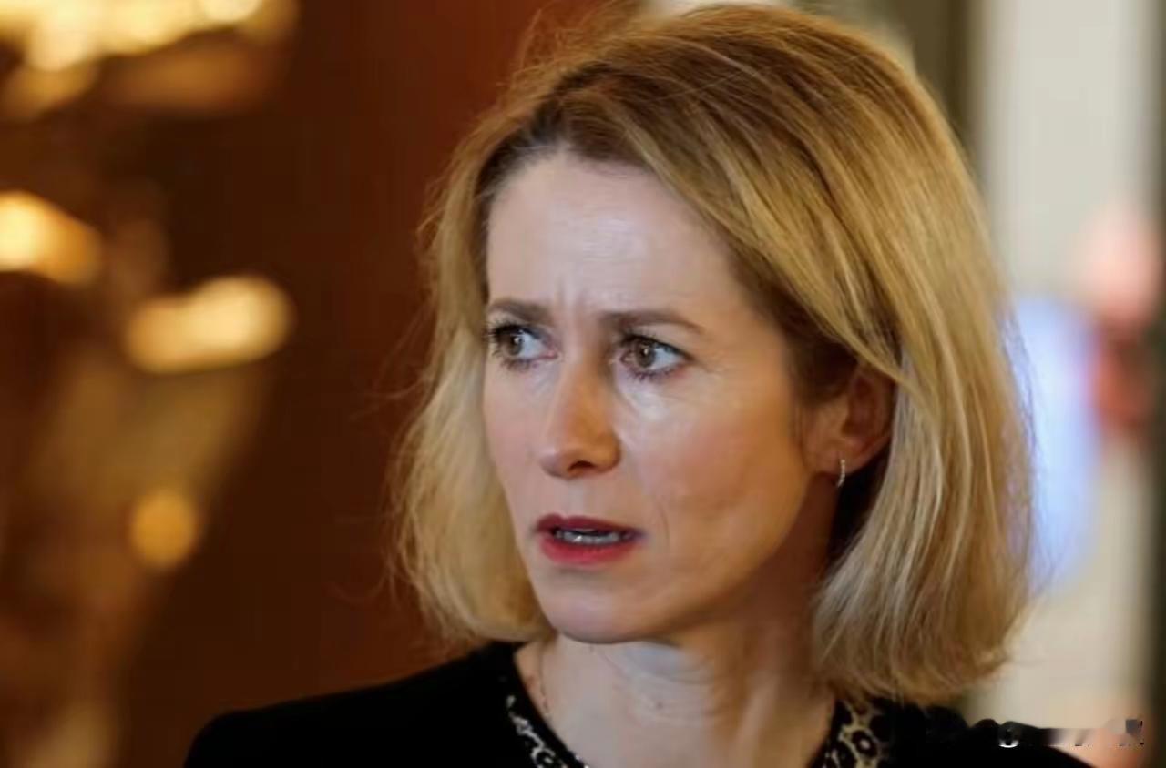 最近，欧盟外长卡拉斯表示，如果我们不援助乌克兰，那么我们将开始讲俄语。
    