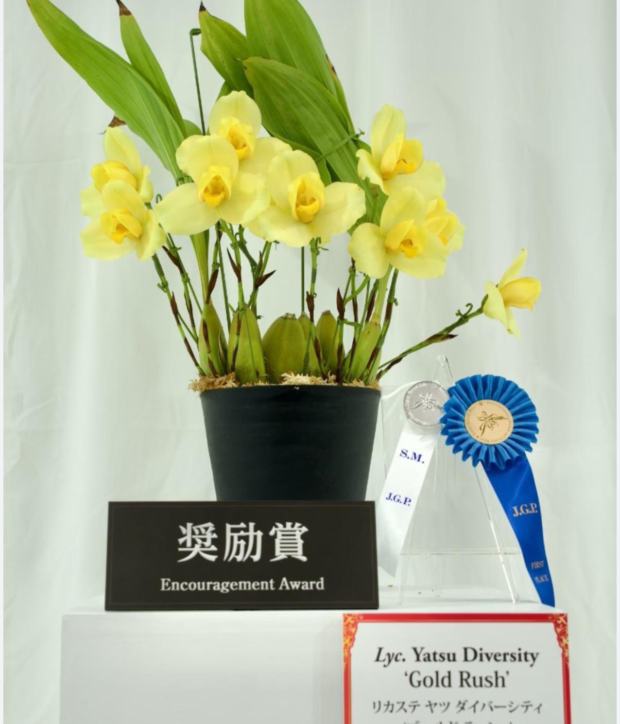 得奖兰花～