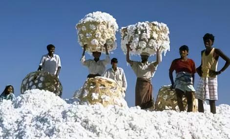 印度对中国玩“鬼把戏”？将棉花低价卖给中国，再高价买回去，印度的这一操作简直太神