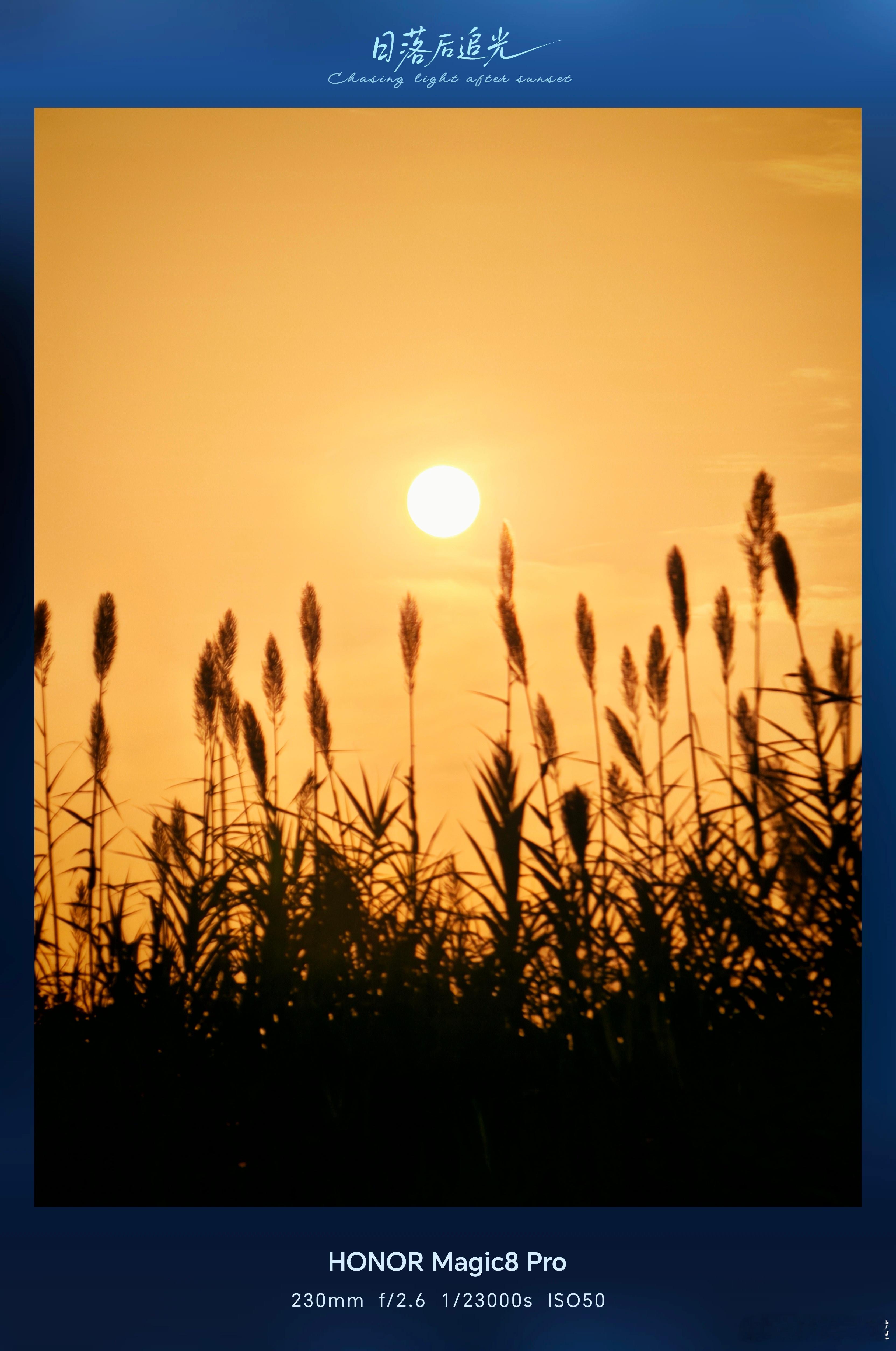 荣耀Magic8 Pro随手拍秋日，这款产品的拍摄能力真的蛮不错，相比之前，今年