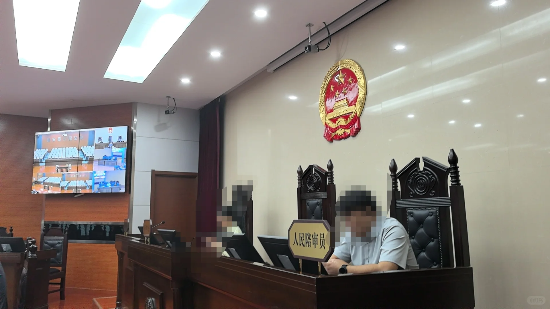 盗刷ETC偷逃高速费案，固安法院开庭