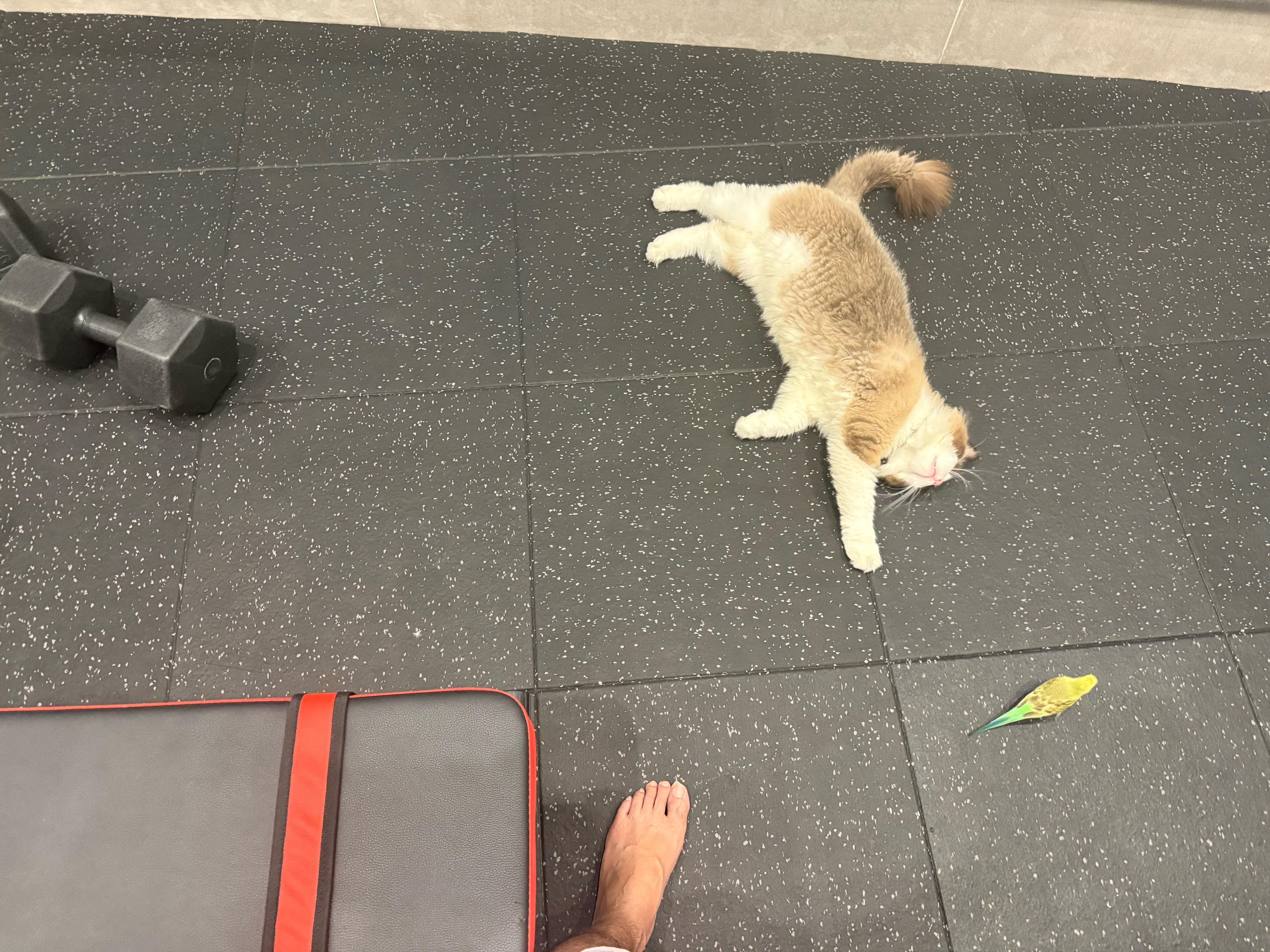 我的健身搭子 ​​​