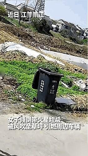 刚被人拿水浇灭的草坪，“腾”一下，火苗子又窜起来了！
这一次，它没奔着草去，而是