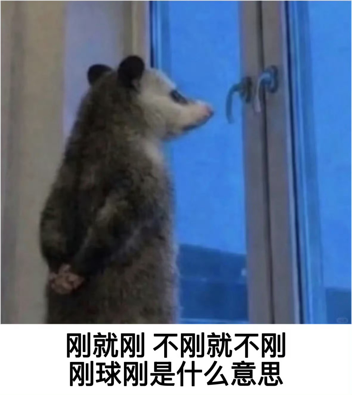我笑点。 