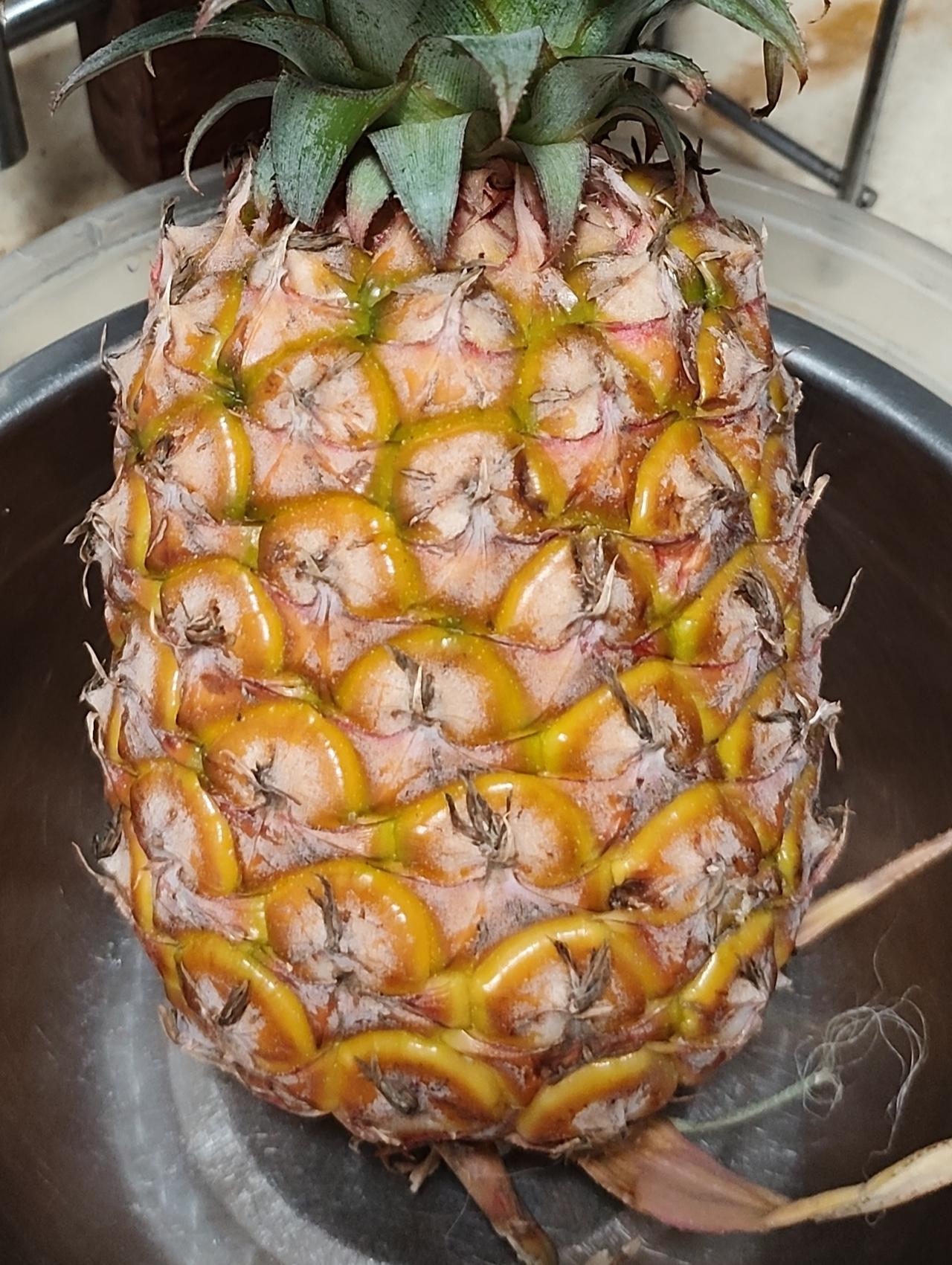 再过几天就是黄埔区的波罗诞了，一年一次的盛会，每年村里的人都包咸肉粽，做波罗鸡，