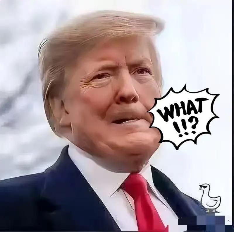 快讯！快讯！

美国特朗普公开证实！

2025年10月19日，美国总统特朗普公