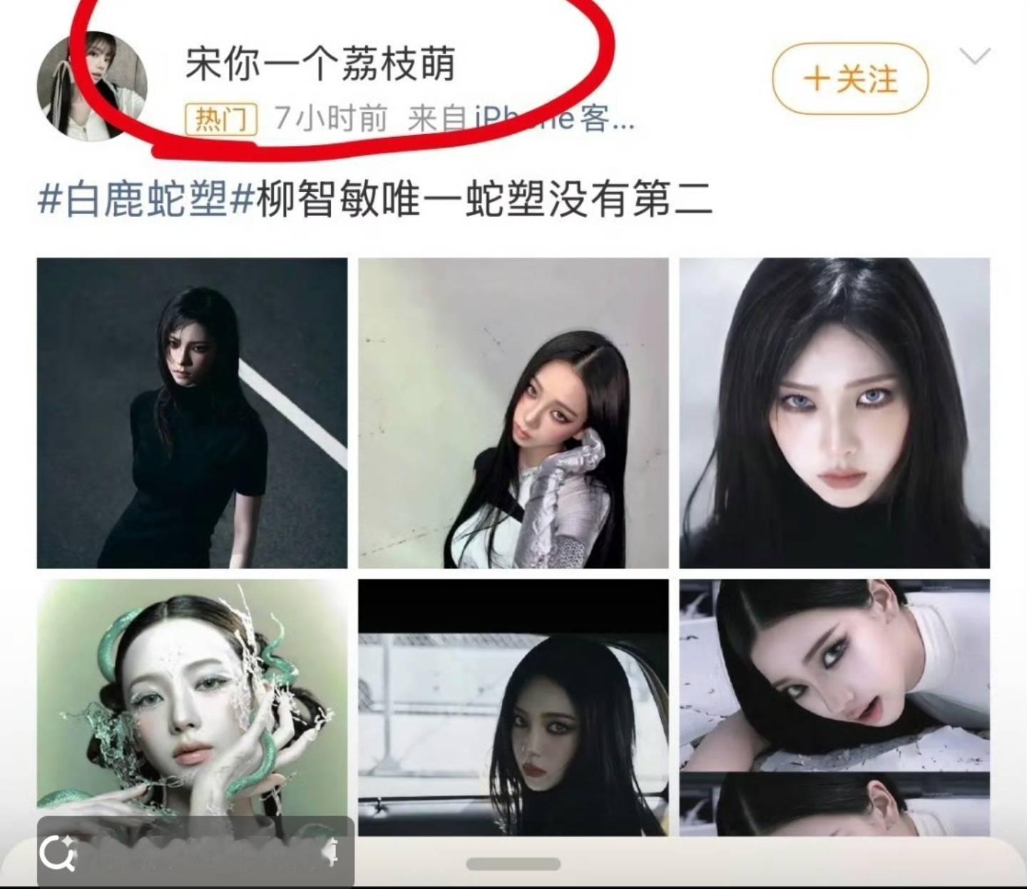白鹿柳智敏 蛇塑 咋啦还有人不知道这个词条第一个热源是宋男人粉批皮做出来的吗？ 