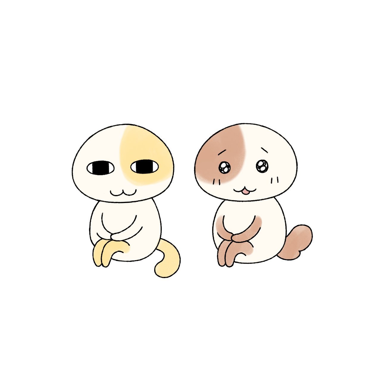 猫猫狗狗