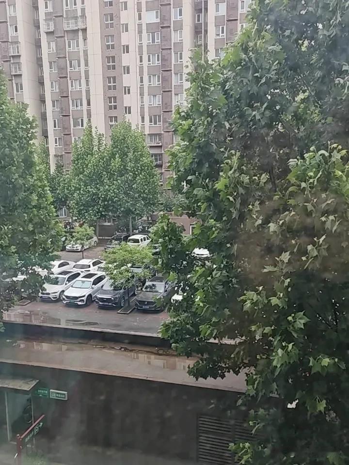 昨天一直下雨，今早气温稍微有点凉，刚刚拿出的裙子，穿着肯定显冷。
还是运动衣合适