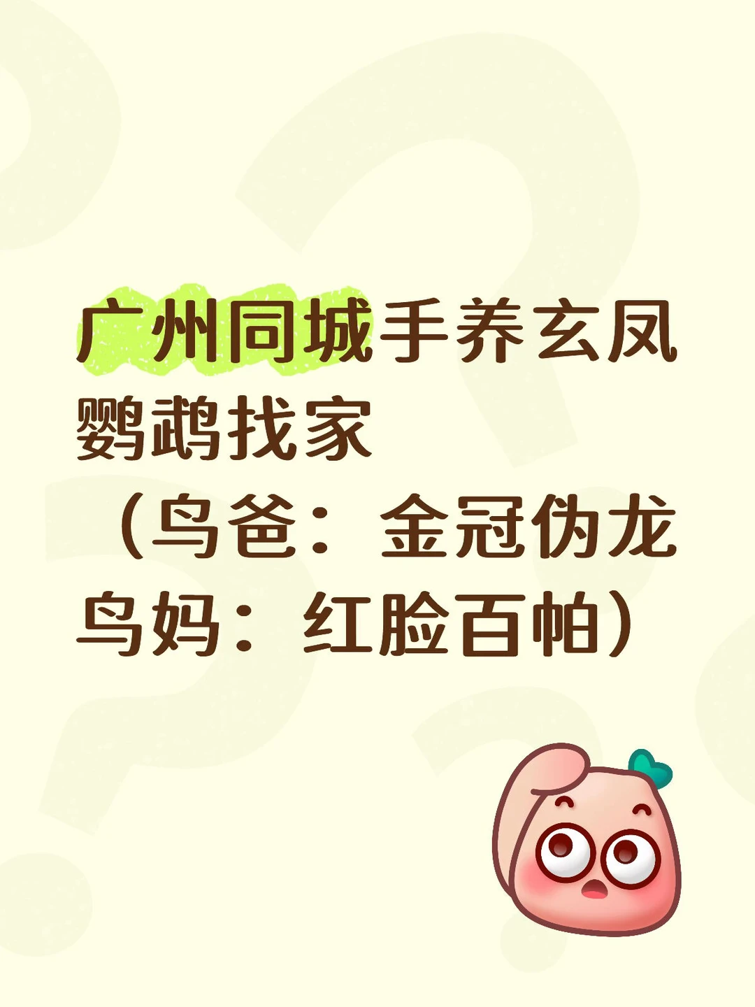 广州同城玄凤鹦鹉找家