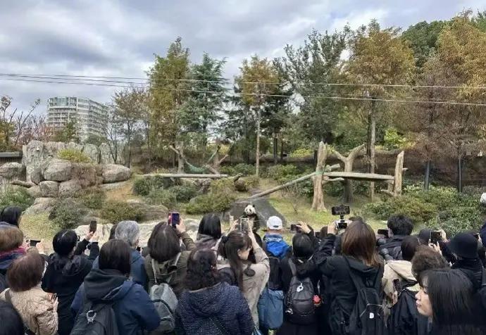 阴谋！阴谋！
日本“间谍”进入杭州！

他们不去西湖不看景。
整天往城郊的产业园