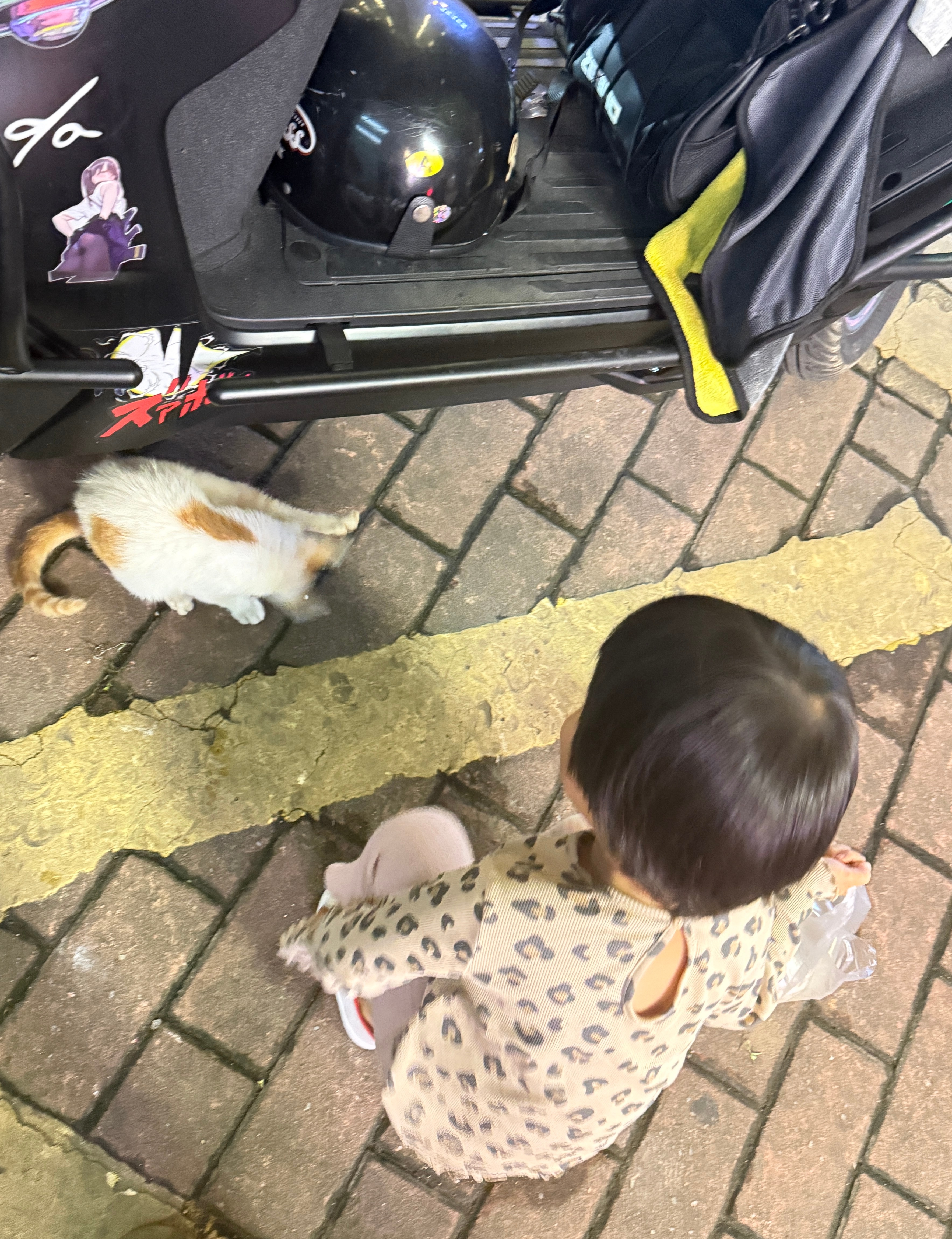 球宝这手速进峡谷打个露娜没问题吧 