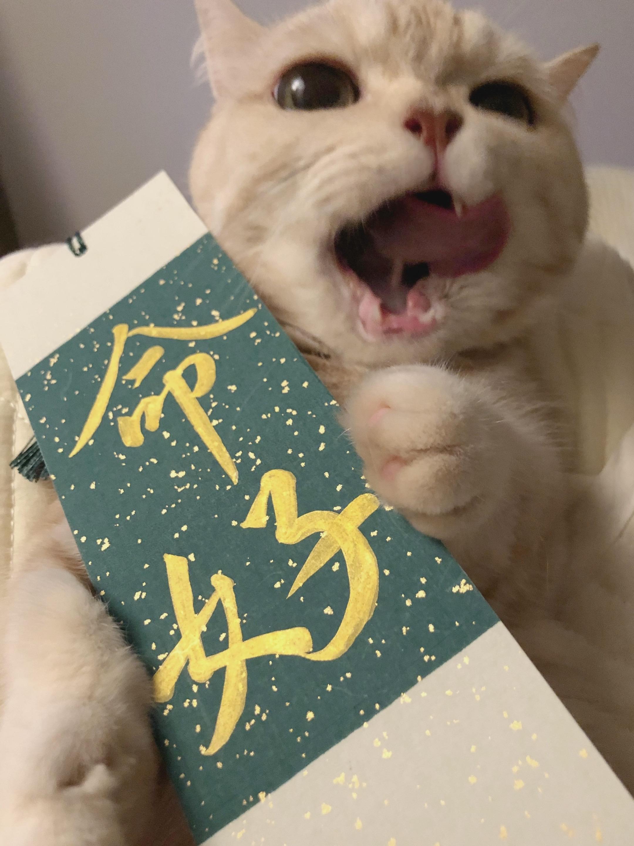 你指定命好