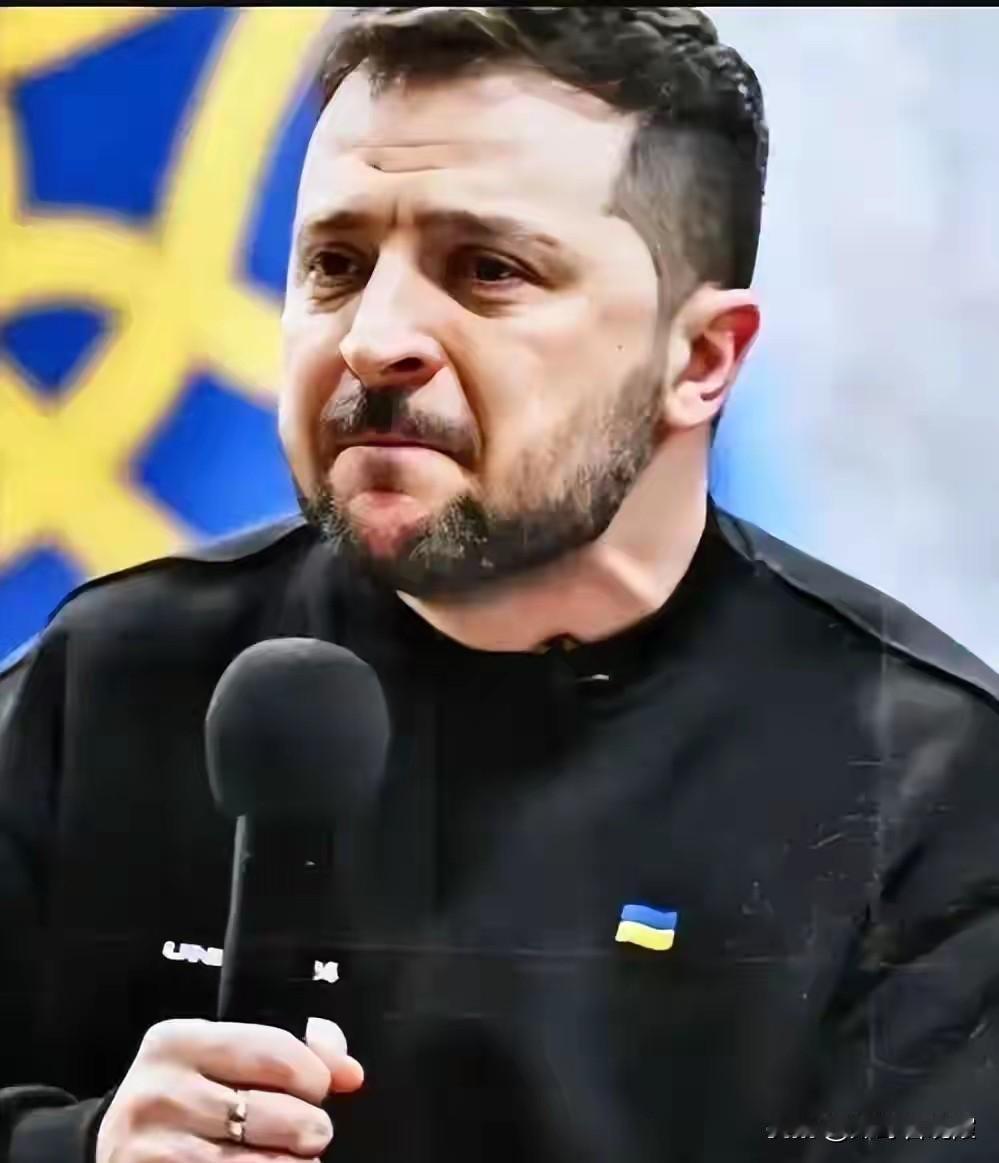 硬刚！泽连斯基当着立陶宛总统面放话，领土一寸不让美国也得妥协