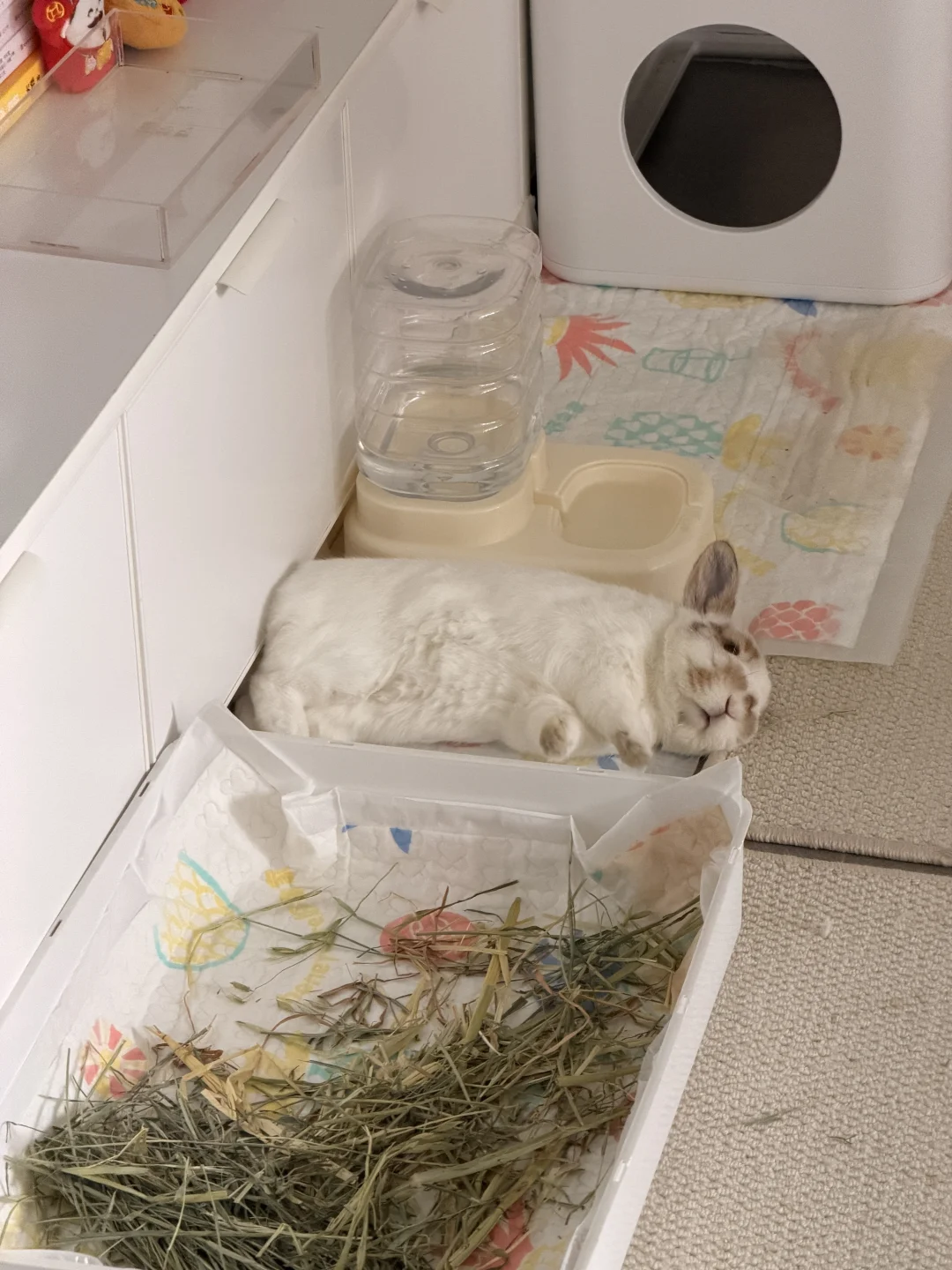 我就往那一躺