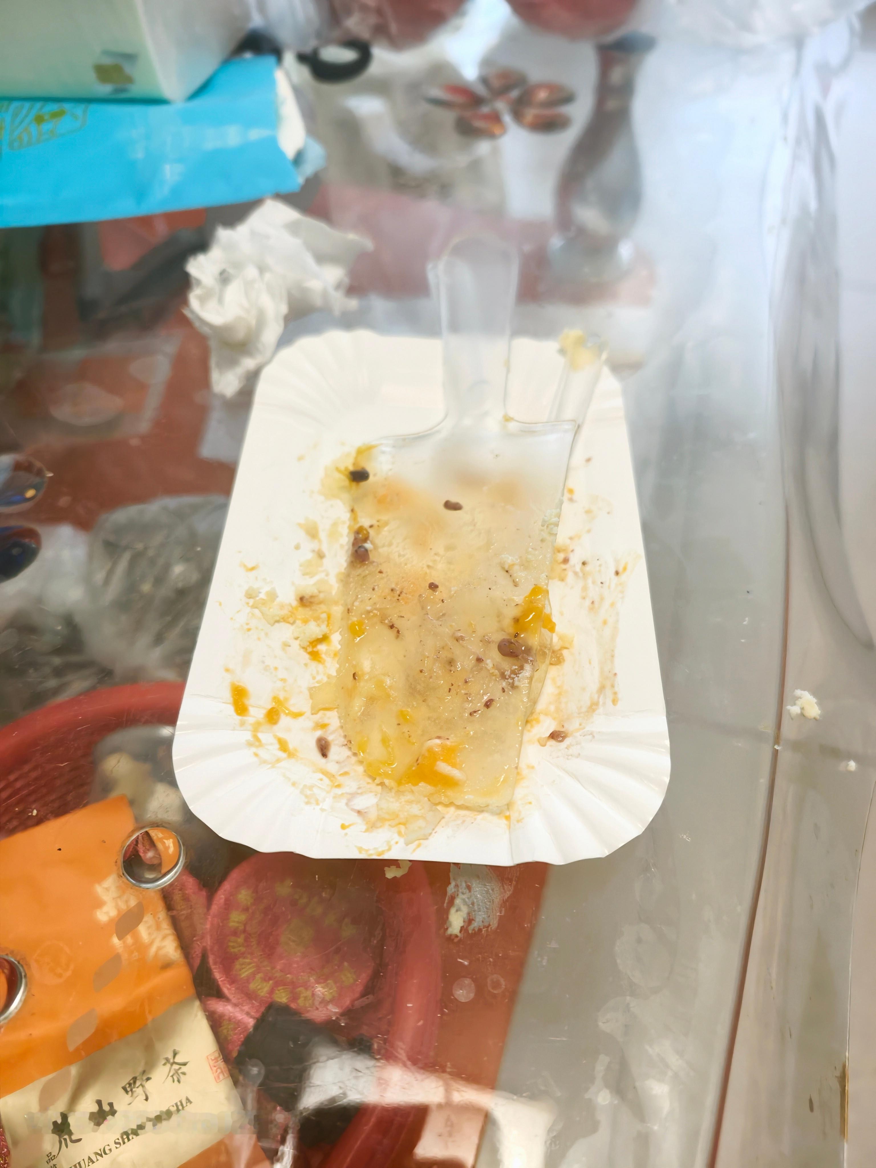 ！！！早安，早饭已吃！我的日常plog 郑州