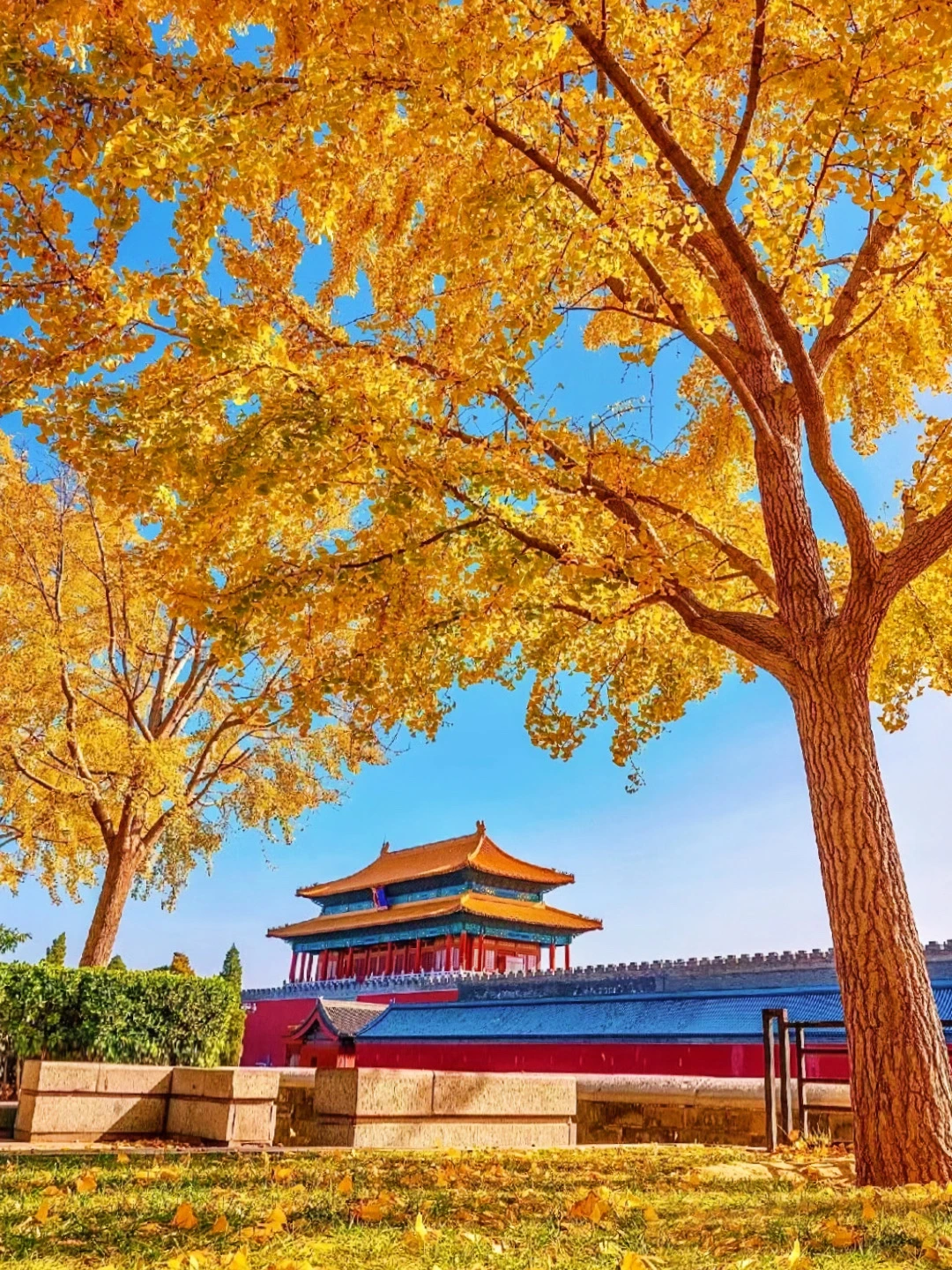 号外❗️北京赏秋citywalk 路线最全攻略🗺️地