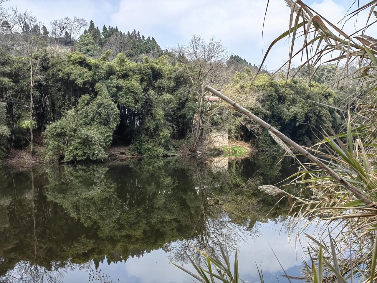 竹林深处有人家，

荷塘夜色见青蛙。

村庄鸟叫有鸡鸭，

………请续尾句。
