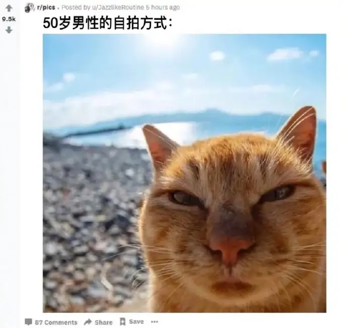 <img src=