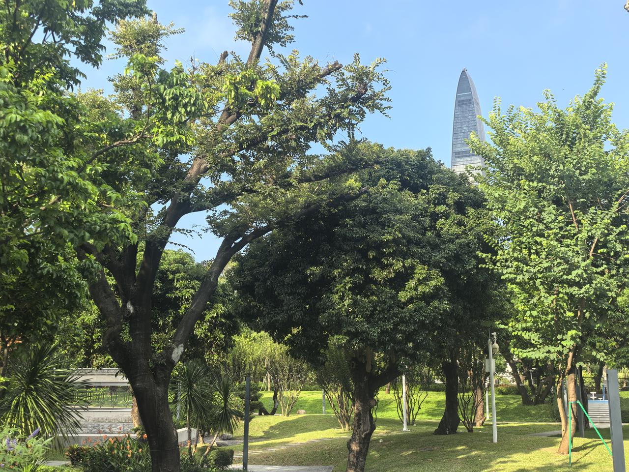 分享一张野花照片