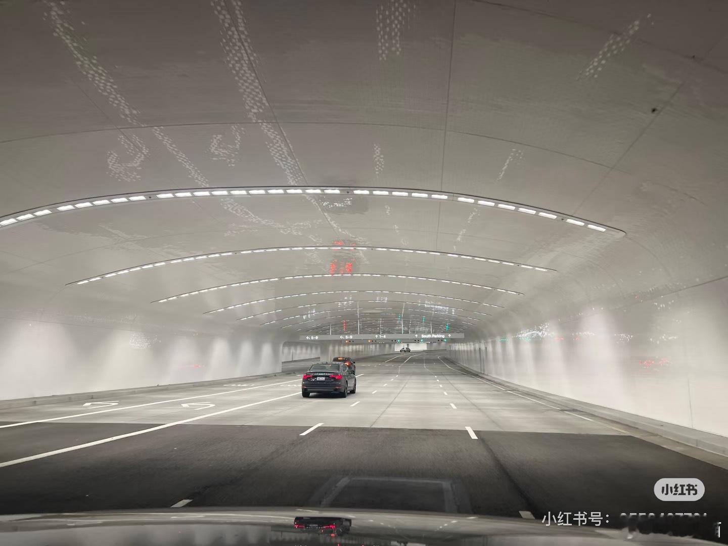 2025年苹果公司年会。图源水印 