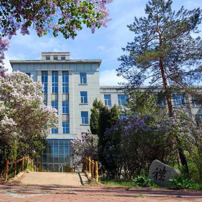 燕山大学旧址（东重）丁香花开
摄影：王晓东

人生易老岁重重，
丁香恒念总关情。