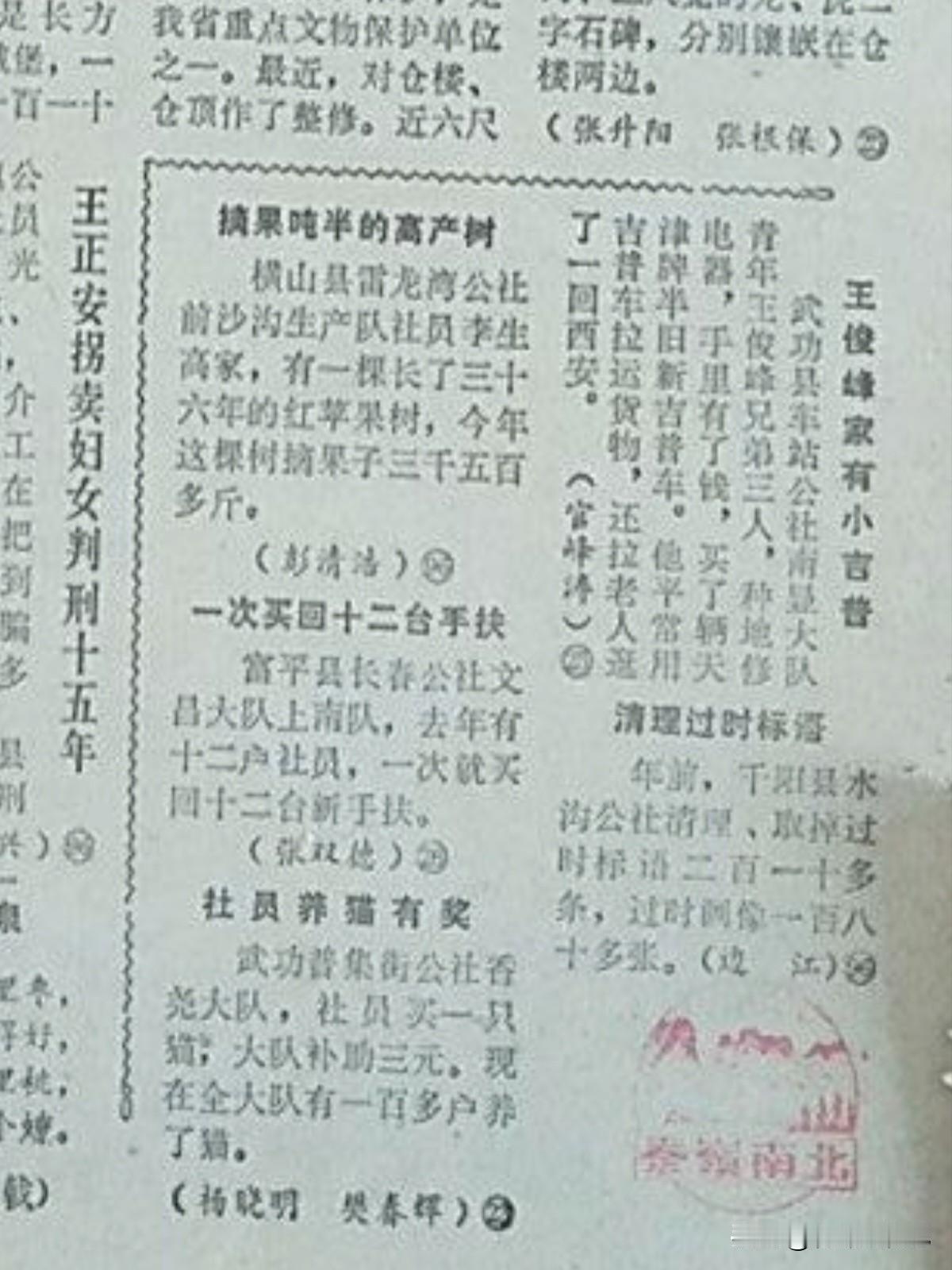 养猪养牛有补助，武功县普集街公社香尧大队以前养猫也有补助，挺有意思的[呲牙]
 