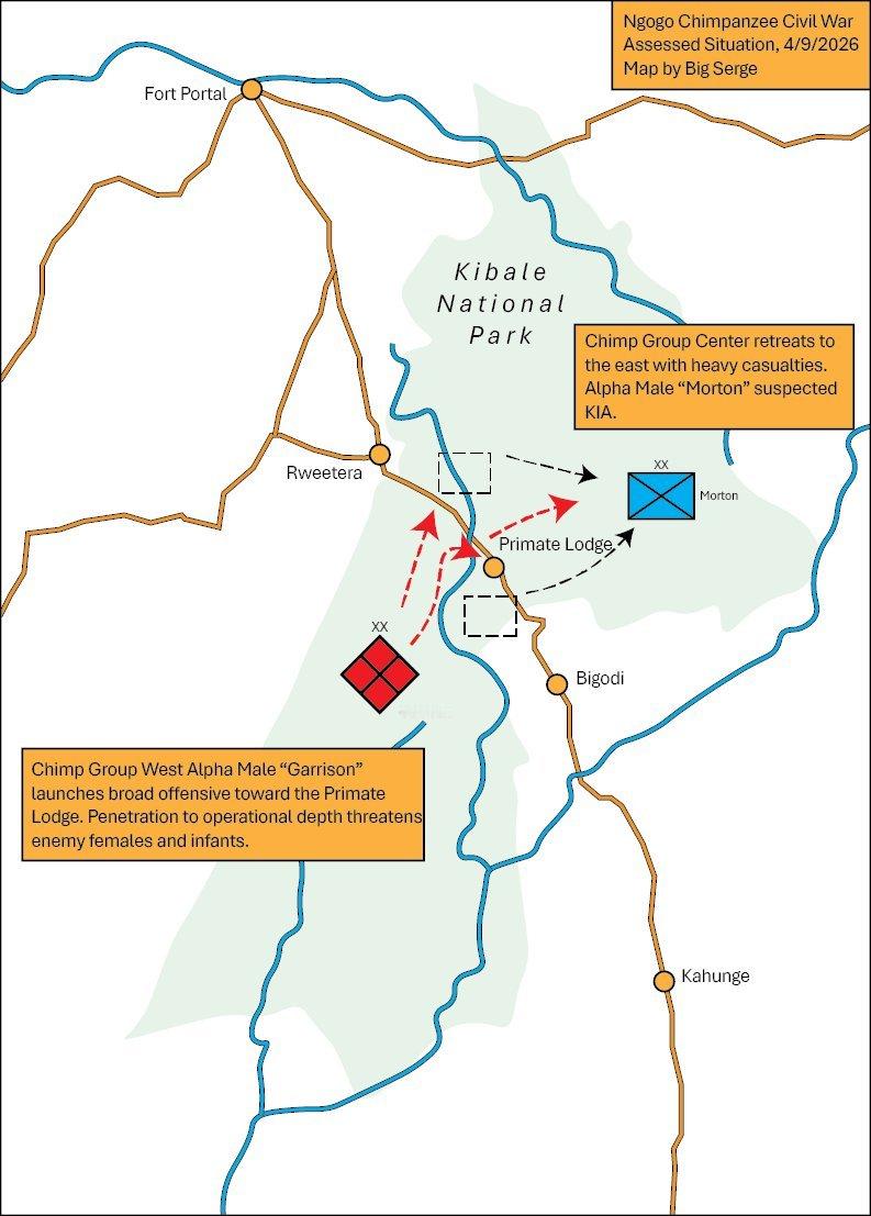 没想到乌干达黑猩猩的“内战”还在打！截至2026年，西部子群占上风，“下克上”。