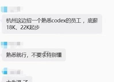只要会用codex工资就18k起步了 ​​​