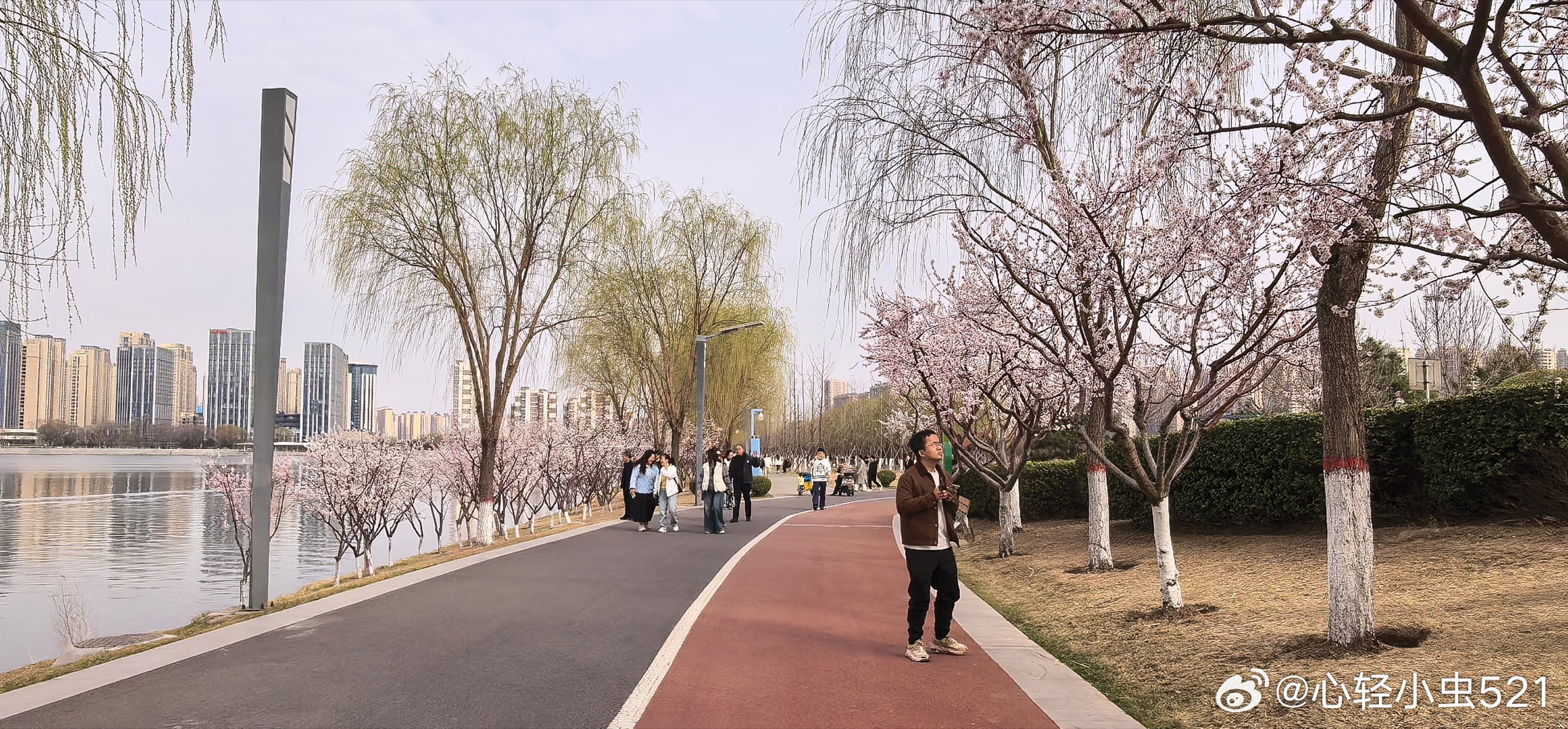 此刻，迎着阳光慢慢走太原晋阳湖公园桃花岛 