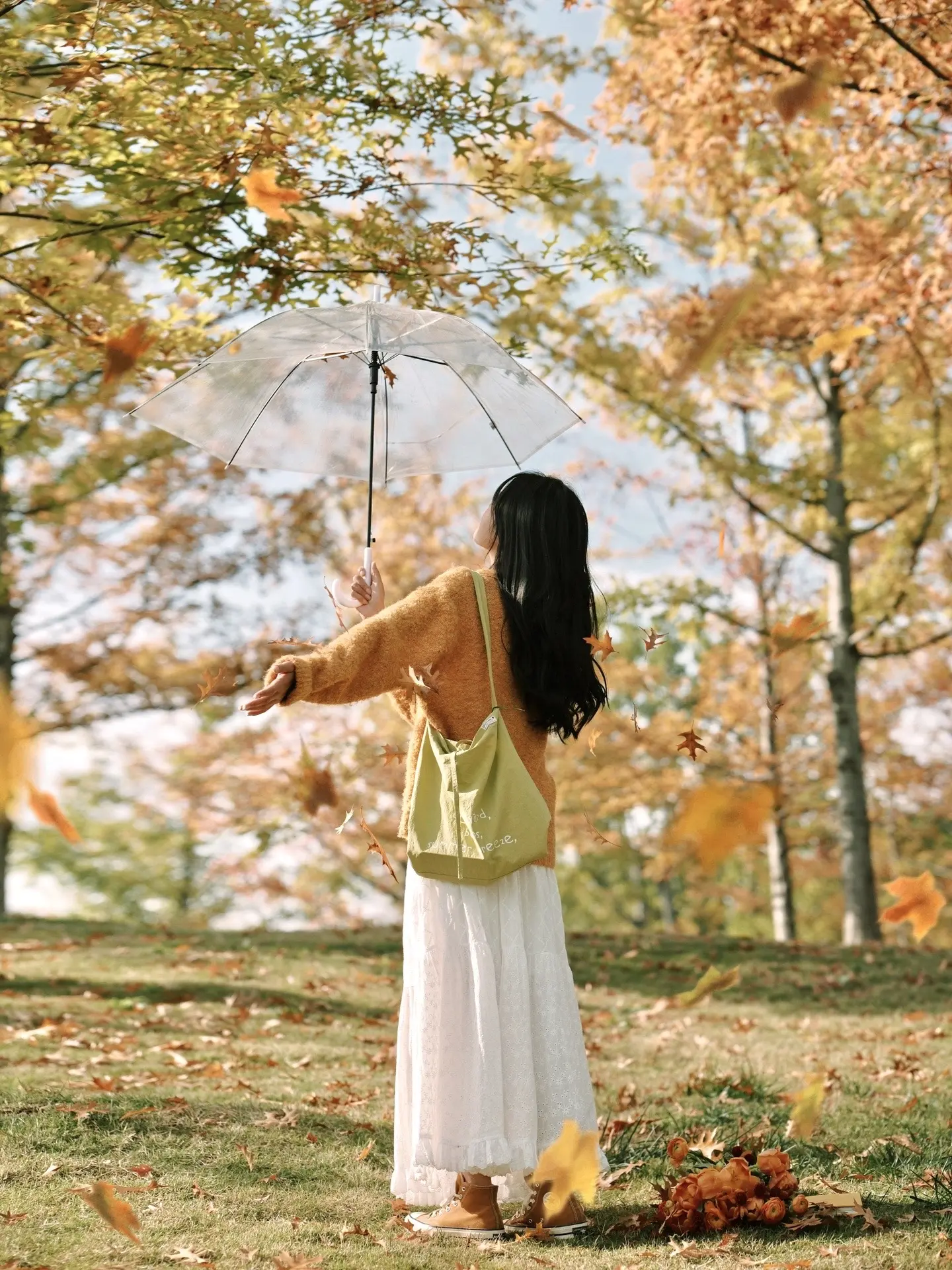 又到了拍落叶的时候啦｜文艺氛围感。在有阳光的日子 走进今年的落叶森林 ...