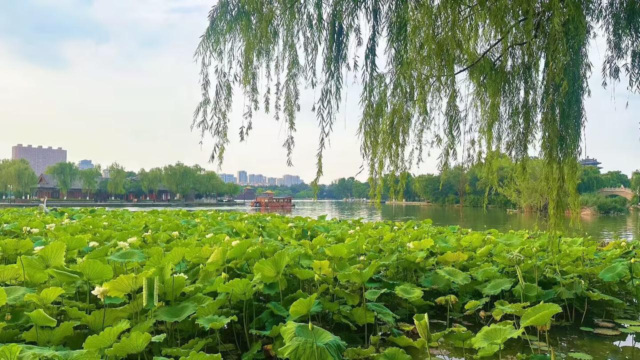 出去看风景 散心，美丽的风景能使我心情愉悦。
