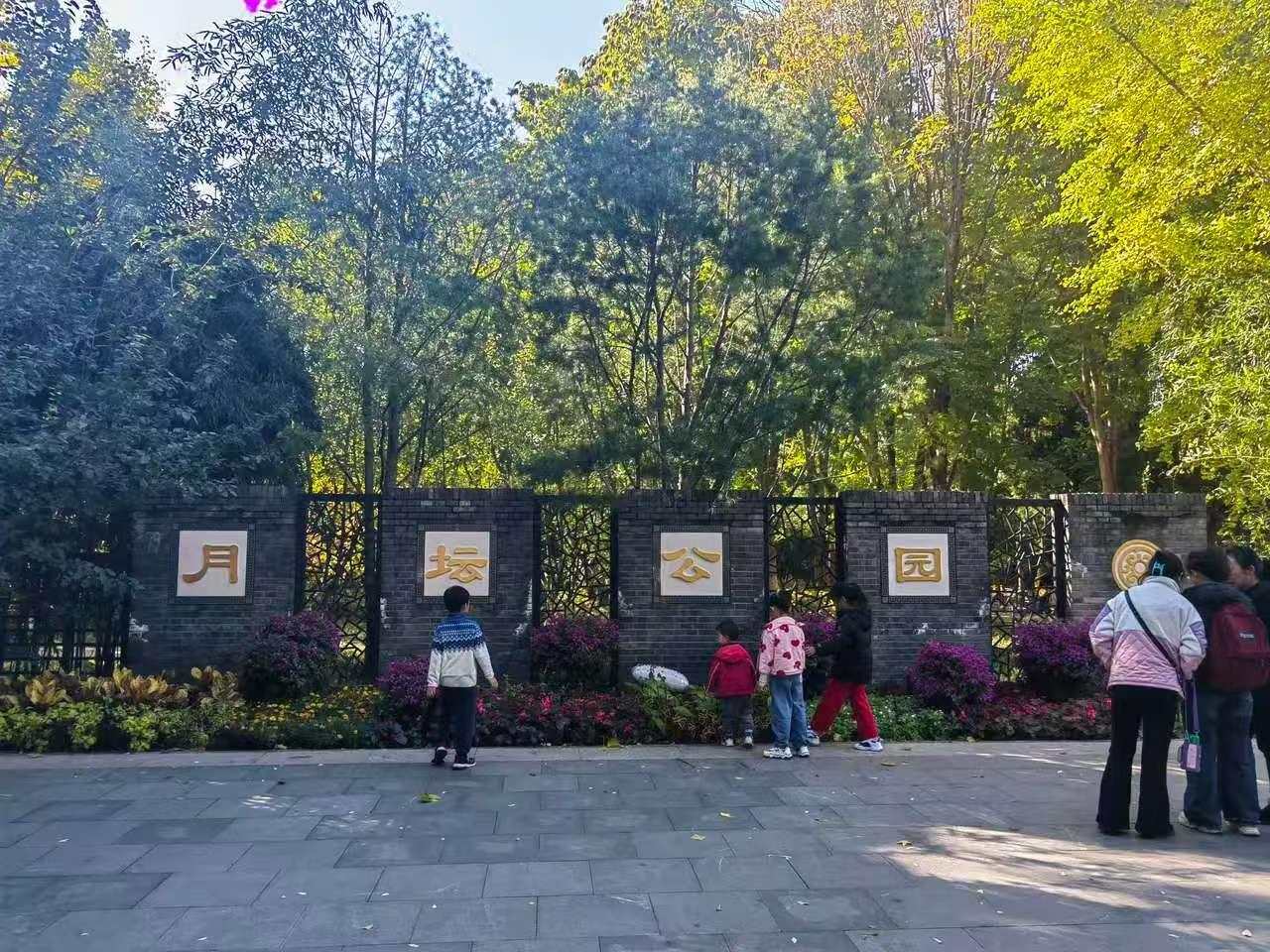 现在是观赏银杏叶的好时候。
今天，天气晴好。去了比较近的月坛公园。（所有图片无滤