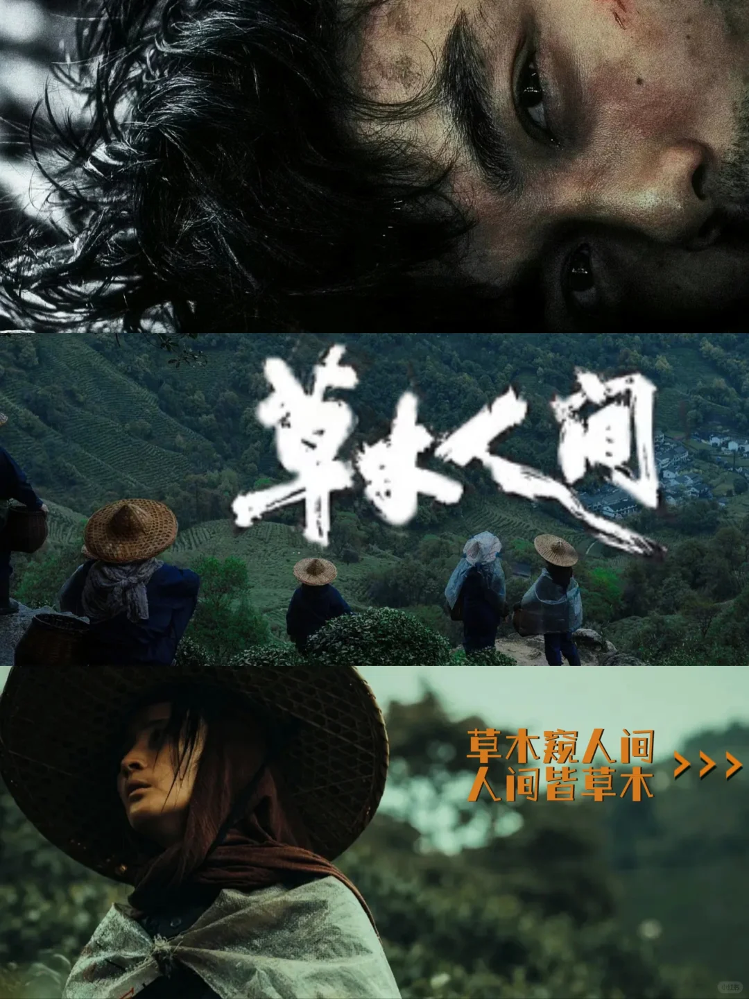 《草木人间》里还有什么细节？