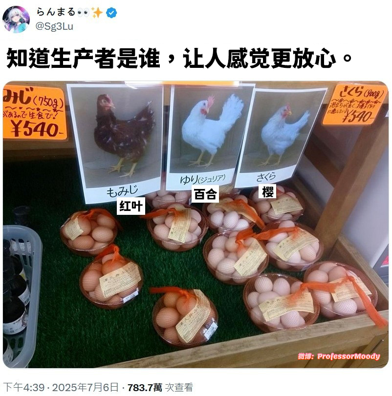 责任追究制meme ​​​