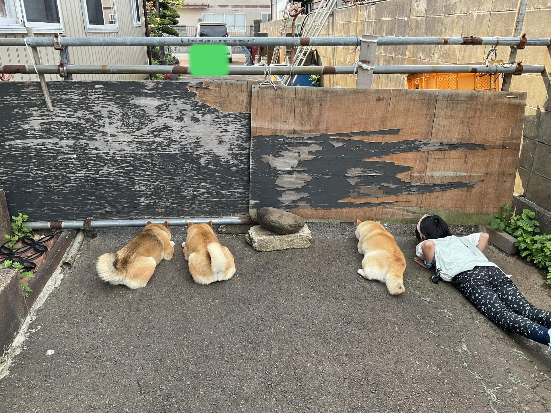 都很八卦