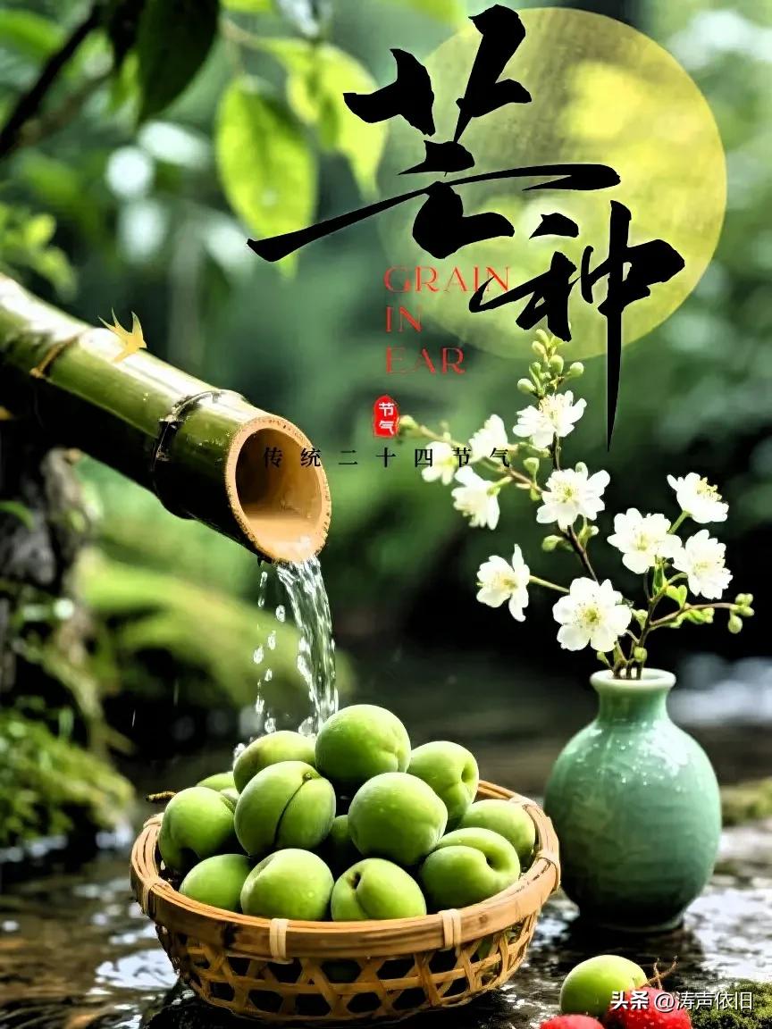 五律《芒种安康》
 
芒种新临暑，
熏风入夏长。
蔬鲜宜日常，
甘腻莫多尝。
寒