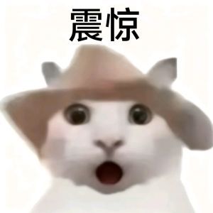 第一次知道春卷居然有豆沙馅的震惊❗ 