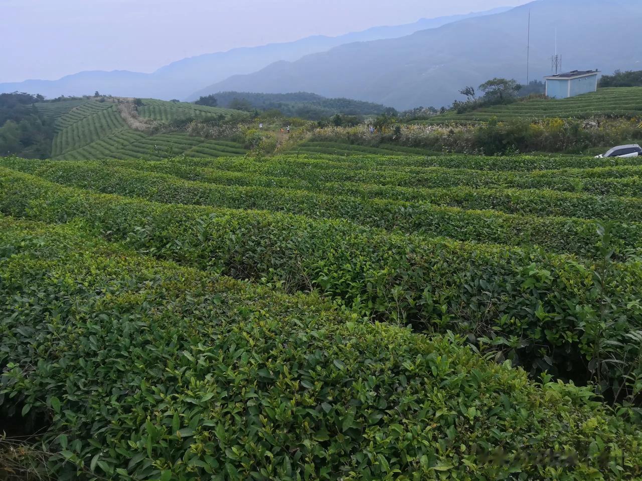 早上好！

当你失去世界，你才能得到世界。