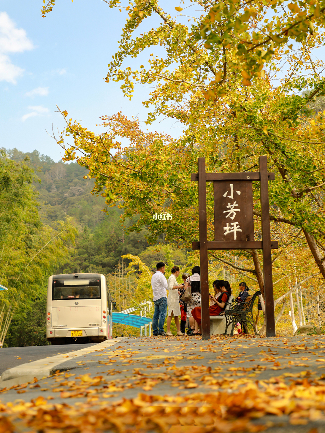 接下来的广东❗堪称秋天旅行天花板🍂攻略