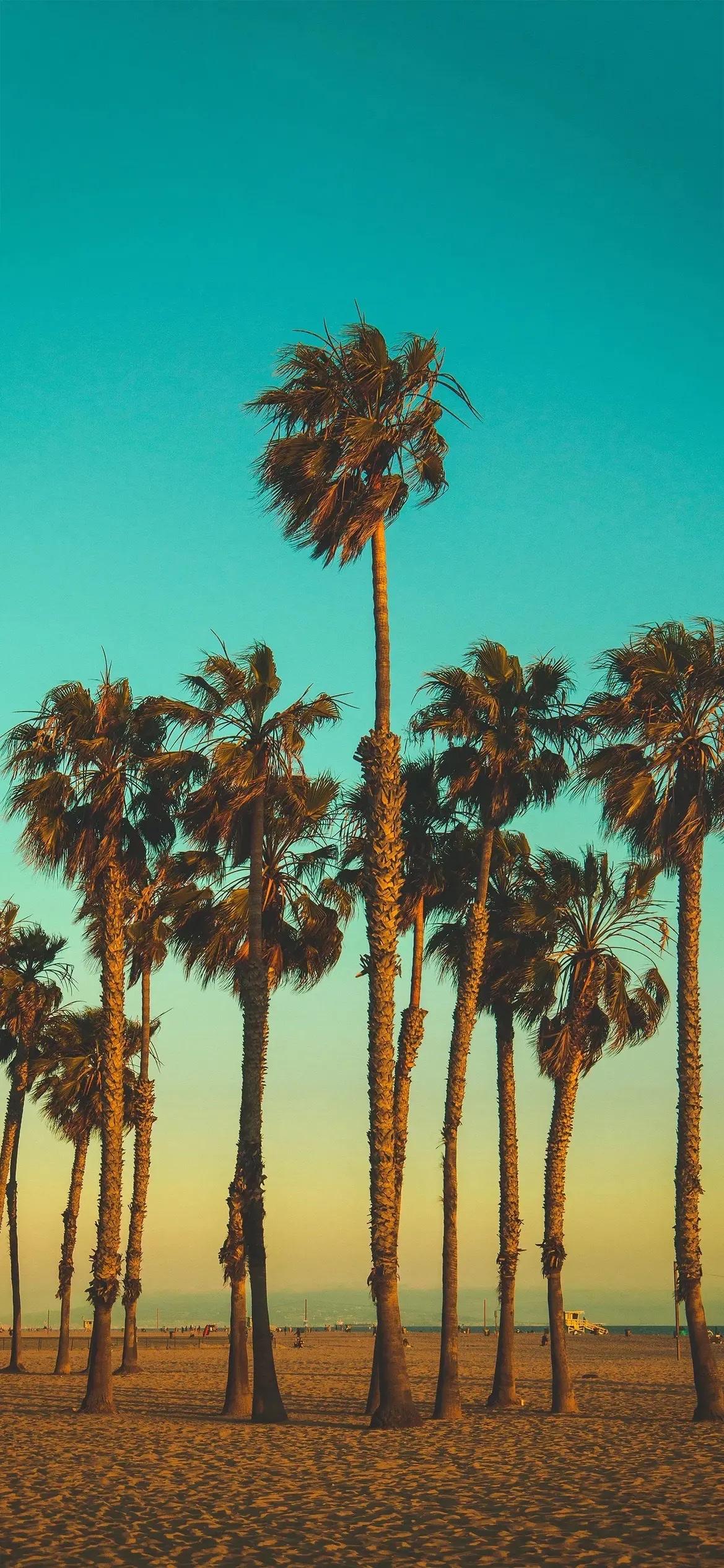 在江湖的夜幕下，冷月高悬，秋风瑟瑟地吹过破旧的客栈。客栈里，几个江湖客围坐在昏黄