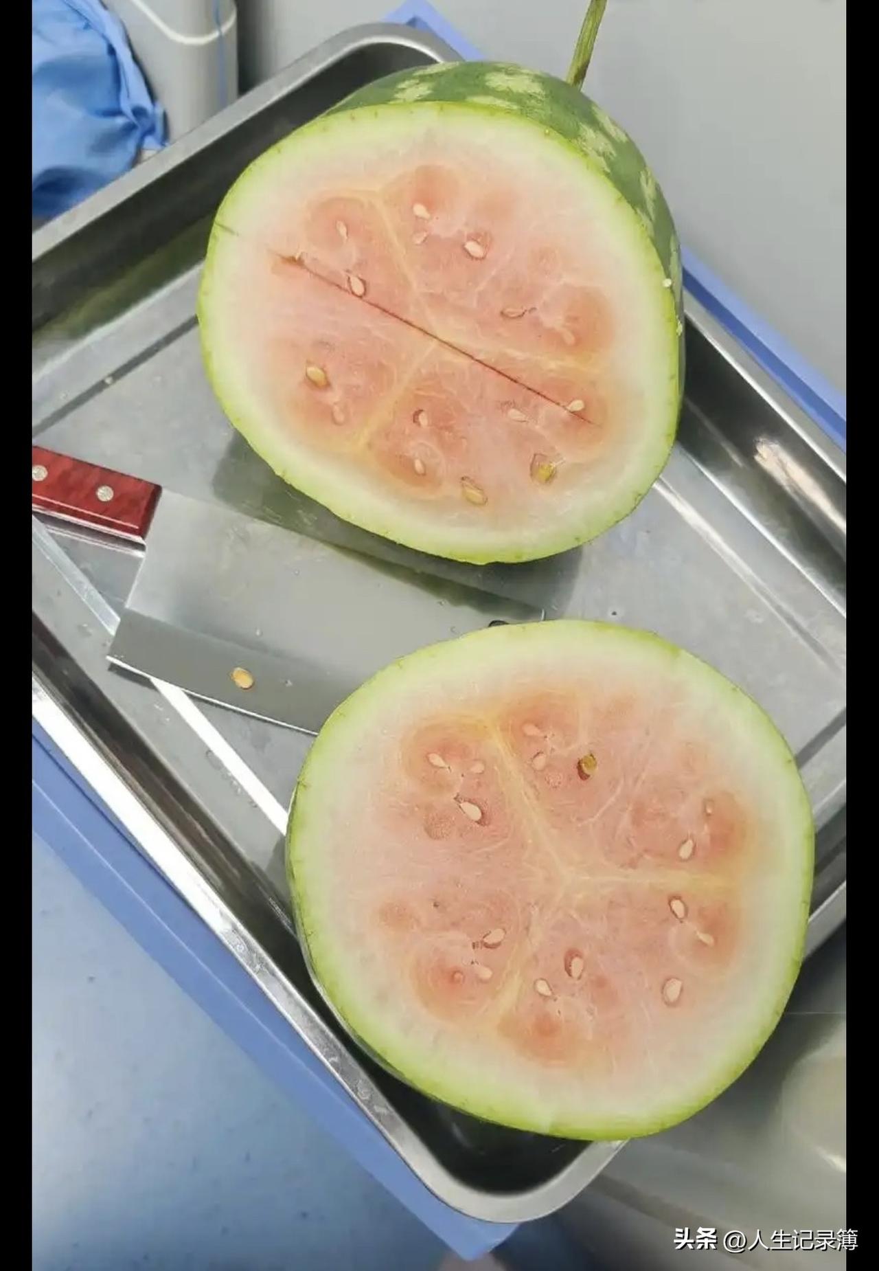在瓜果中母亲最爱吃西瓜。
去年孩子暑假，我带小孩一起回老家，把母亲从妹妹家接来跟