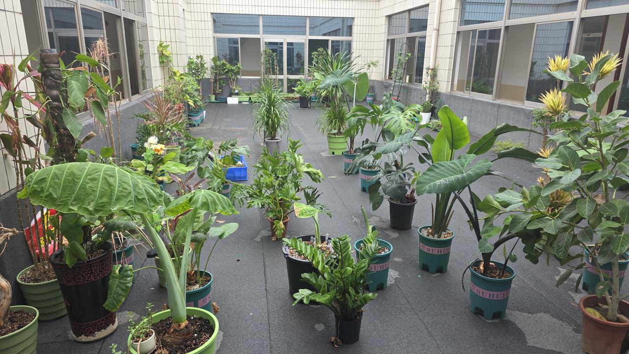 你挑不到本身就很好的人 是因为你内在撑不起

昨天上午十点 视频心理咨询 小雅在