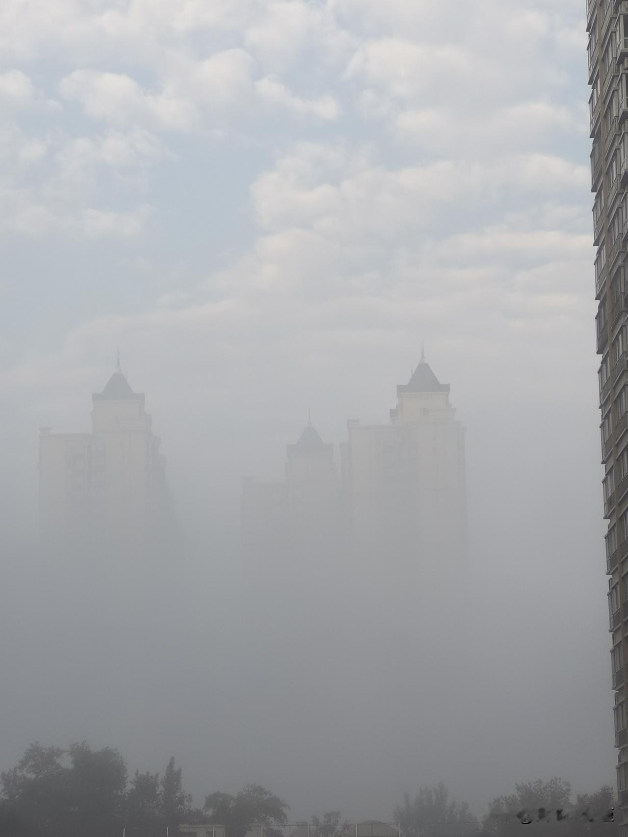 雾里长出了两栋楼[呲牙]
 
出门送娃上学
她突然哇了一声
说远处的雾里长出了两