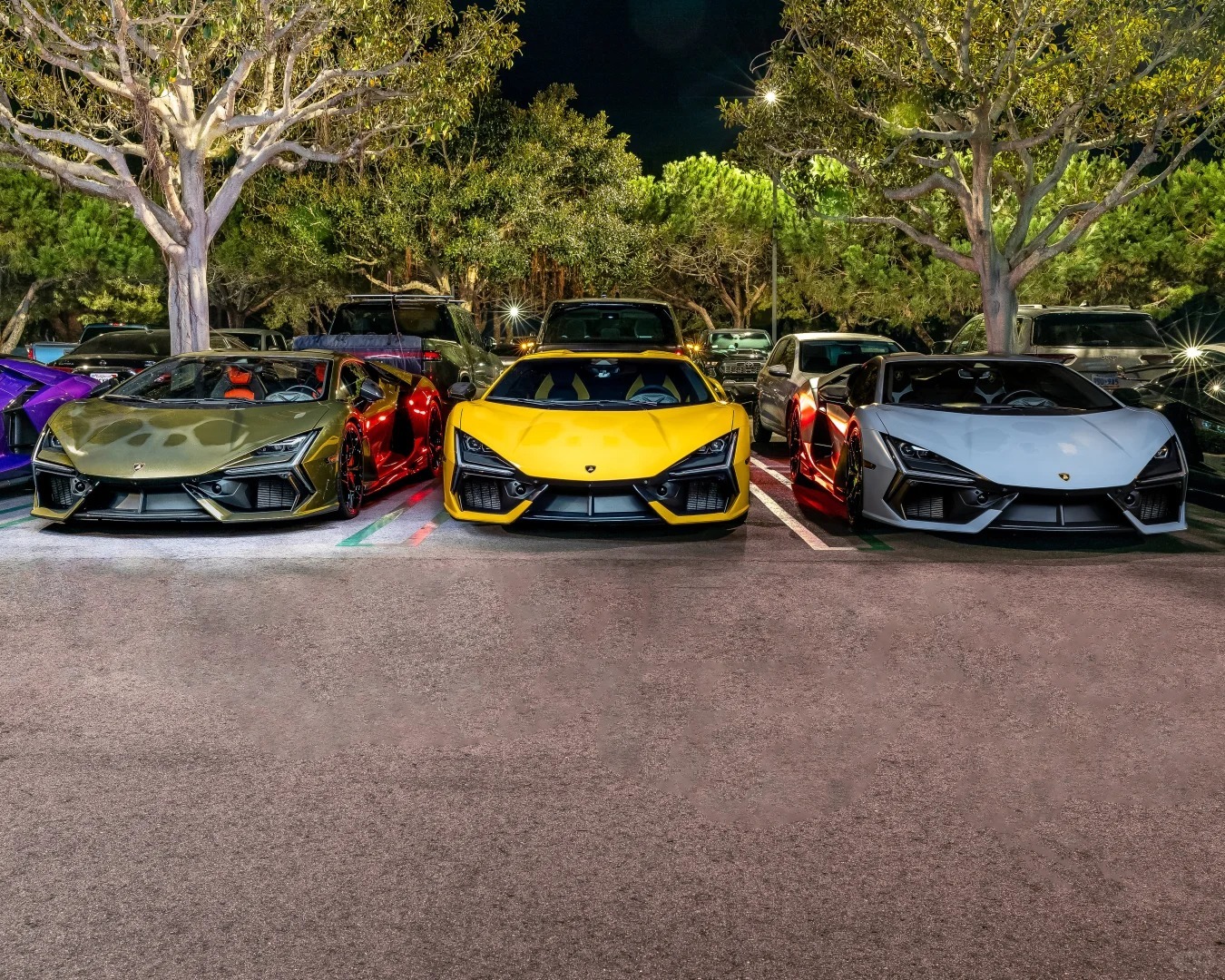 晚上好，五颜六色的蓝宝杰尼齐聚一堂，养眼车东车西