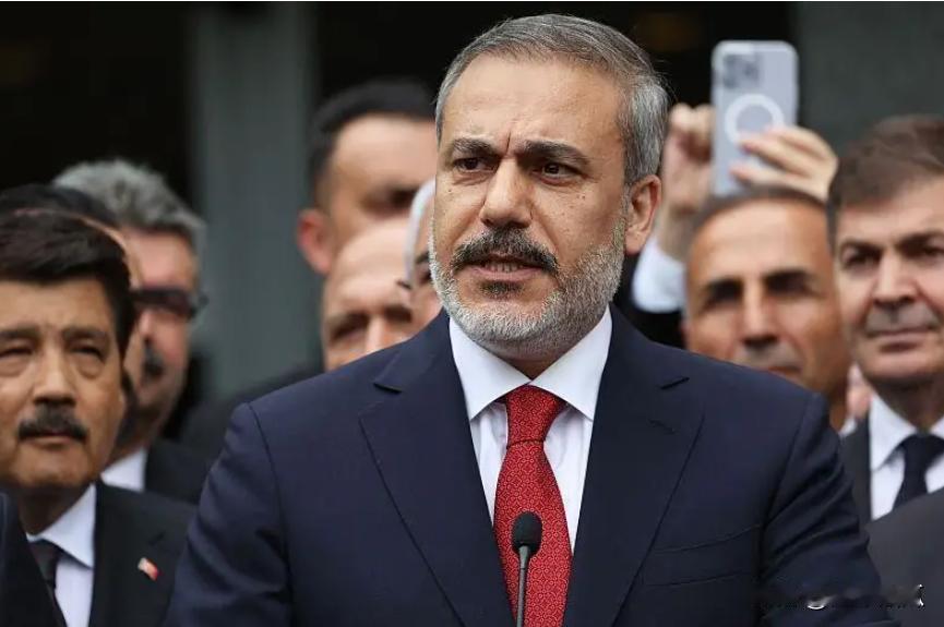 土耳其外长撇清关系。叙利亚的极端武装风风火火的突进，很多打了土耳其的旗帜，为此土